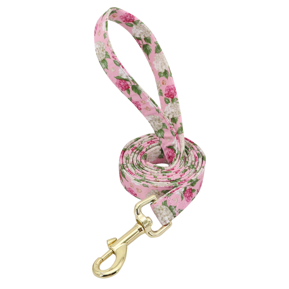 Pink Leash