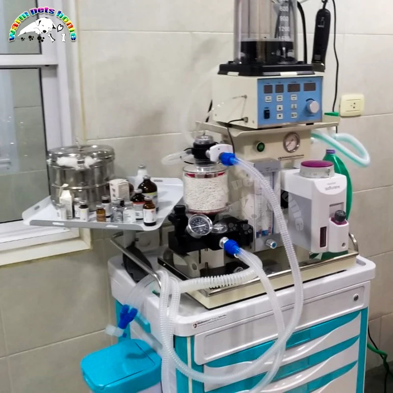 Portable Veterinary Anesthesia Machine Animal Pet Dog Cat Medical Anesthesia Apparatus Vet Equipment - imagen 5