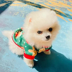 Sudadera con capucha para perro Pomerania – Cálida y cómoda