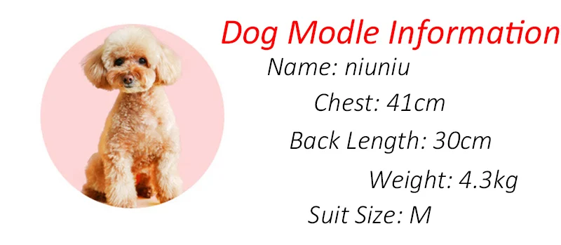 Camiseta estampada para gato doblada sobre una mesa