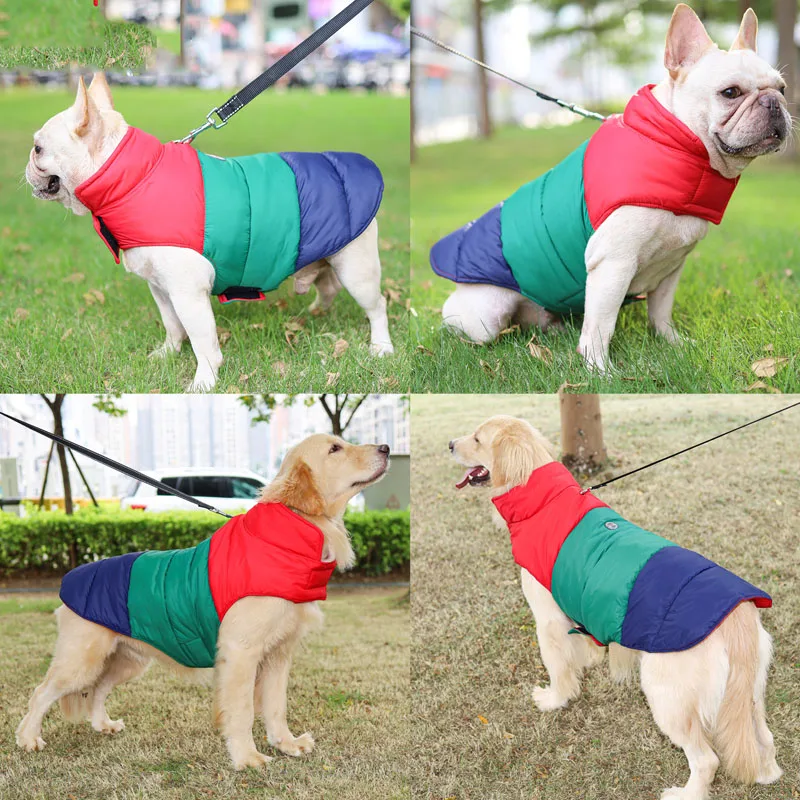 Chaqueta de invierno colorida para mascotas, Parka cálida a prueba de viento, abrigo para perros pequeños, medianos y grandes, ropa Reversible para disfraz de Año Nuevo - imagen 4