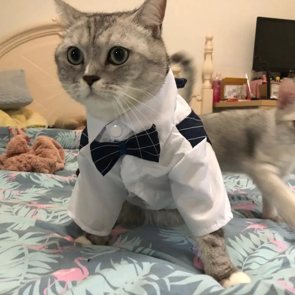 Traje de esmoquin para fiesta de boda para hombre, ropa para gatos Sphynx, disfraz de Gotas mascotas, camisas Katten Kedi, ropa para perros de reunión - imagen 3