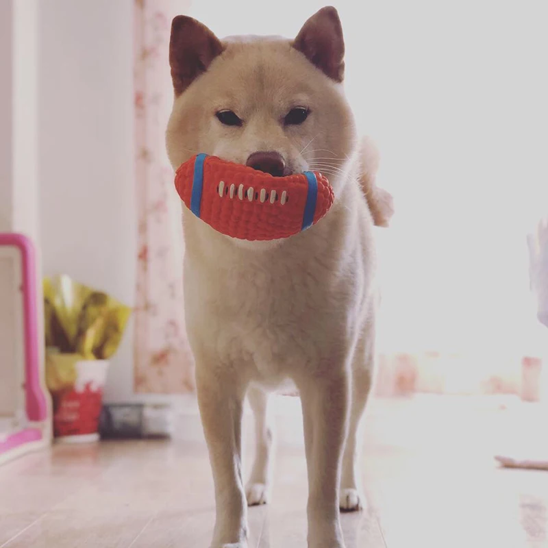 Pelota de goma para perros pequeños y medianos, juguete para masticar Shiba Inu, accesorios para mascotas, Bulldog francés - imagen 5