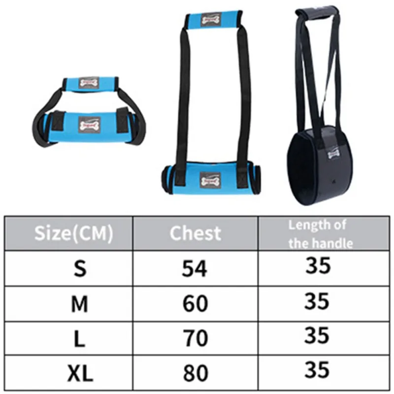 Arnés de soporte para patas traseras visto desde arriba