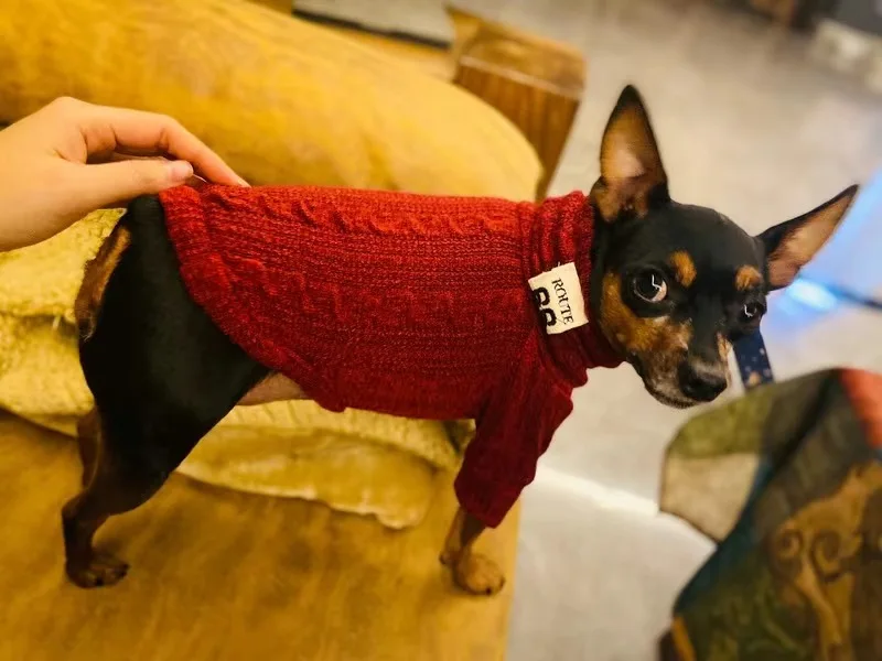 Suéter rayas verticales perros gatos - Proceso de lavado y cuidado