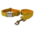 Dog Collar Leash Set