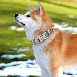 Collar identificativo para perro con placa grabada PET ARTIST