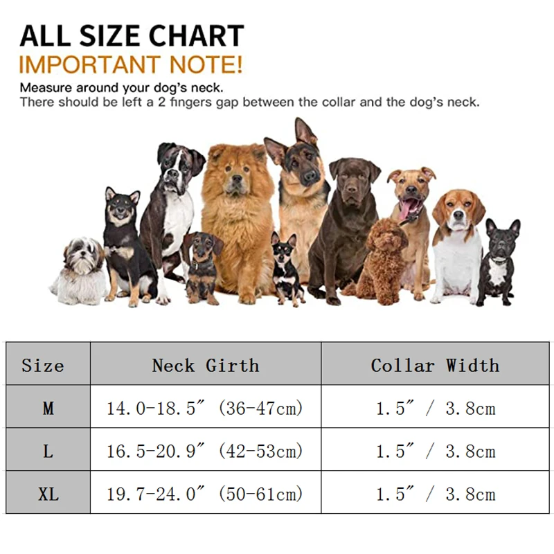 Collar en uso - Perros usando el collar táctico