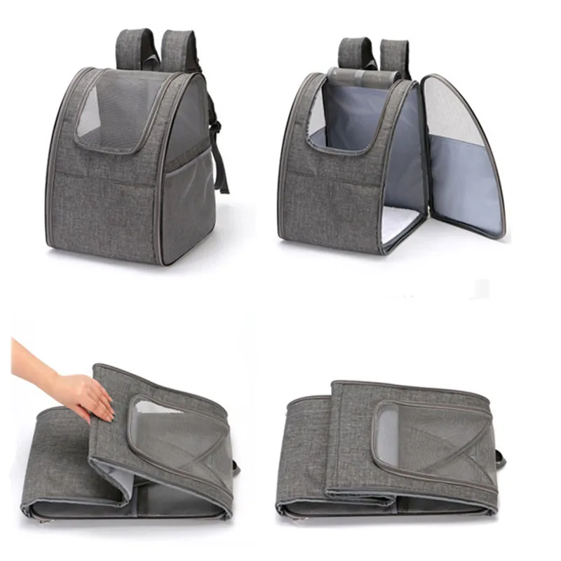 Gato dentro de la mochila de transporte transpirable