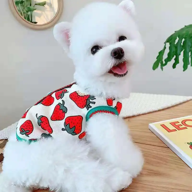 Chaleco bonito de fresa para mascotas, ropa de flores de nieve a prueba de nudos para perros, gatos y perros, chaqueta cálida de diseño, novedad - imagen 2