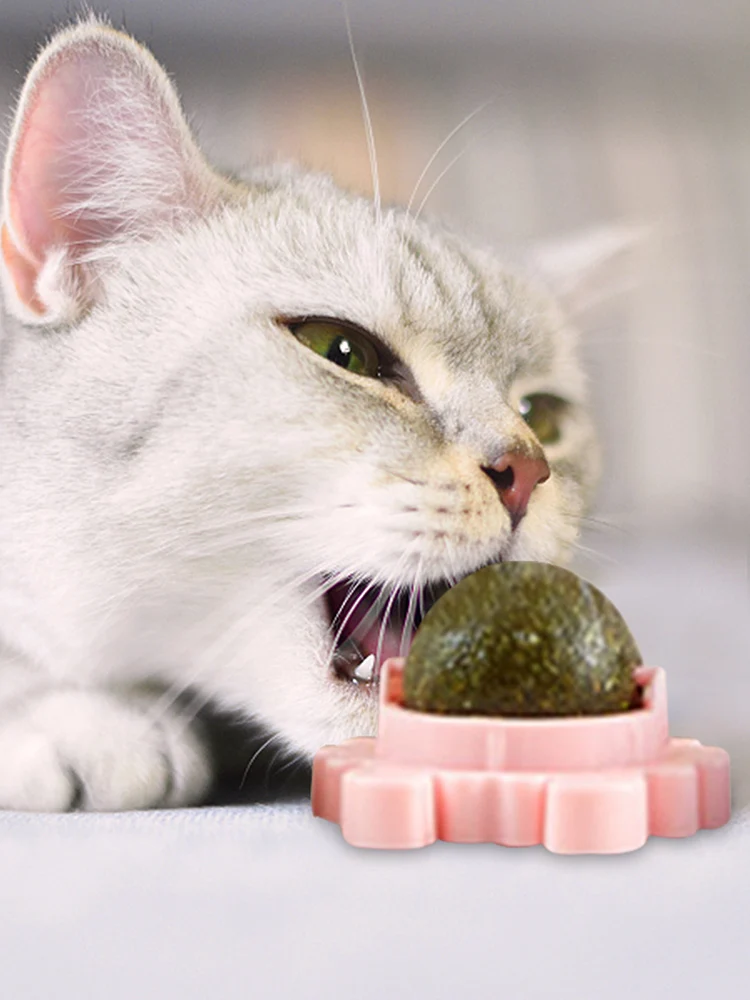 Juguete interactivo giratorio de 3 piezas para gatos, Bola de hierba gatera, juguete para gatitos de dentición, saludable, natural, dientes limpios - imagen 4