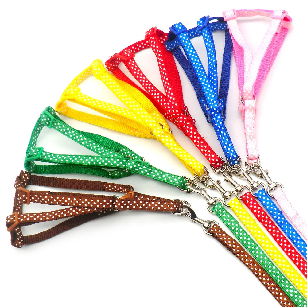 24 unids/lote Collar para perro y gato, Collar para mascota, plomo para cachorro, mascota pequeña, puntos para caminar al aire libre, impresión de Chihuahua Terier Schnauzer - imagen 2
