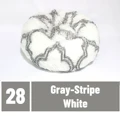 Gray-Stripe