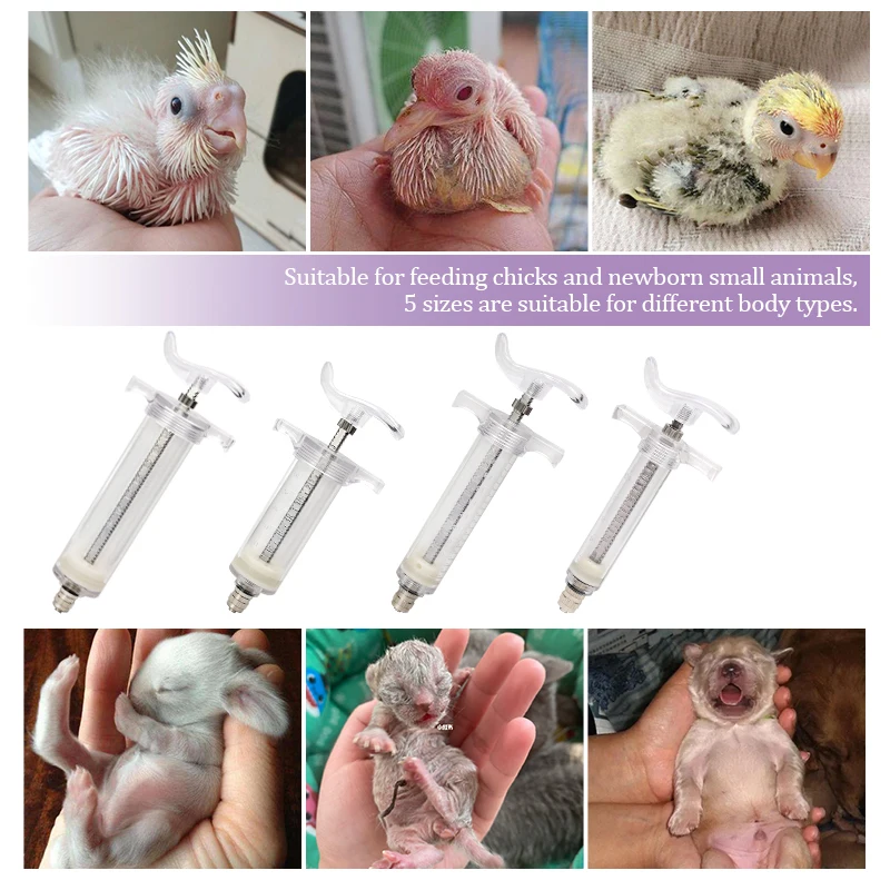 Comedero para pájaros de 10/20/30/50ml, manguera de jeringa para alimentación de loros, jeringa para alimentador de loros, herramientas de alimentación para pájaros pequeños - imagen 5