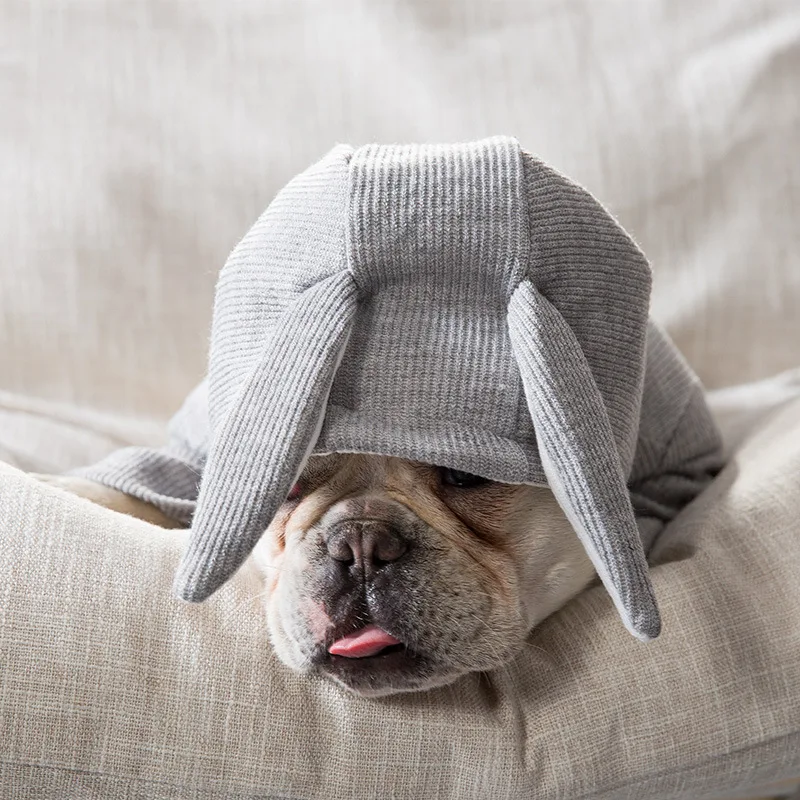 Ropa para mascotas con diseño de Orejas de conejo, abrigo de invierno para perros pequeños, sudaderas con capucha para cachorros y gatos, ropa para perros Pug Bulldog Francés - imagen 2