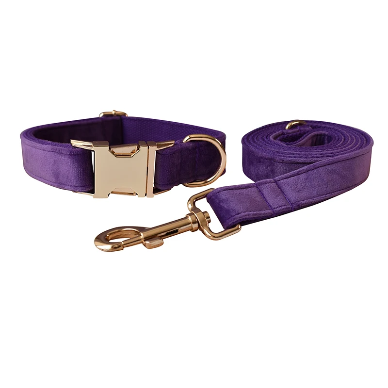 Dog Collar Leash Set