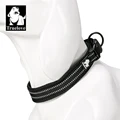 black dog collar