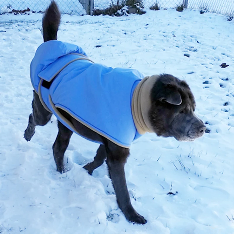 Chaqueta de plumón para perros grandes y medianos - imagen 3