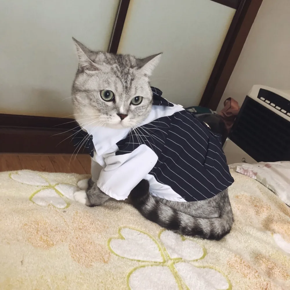 O1CN01nXcY821OeNlDiTtkR_!!0-rate