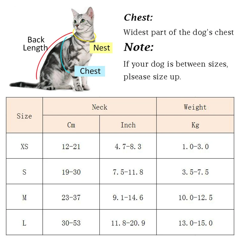 Collar con campana para gato de estilo japonés, bonitos accesorios para mascotas, collares Sphynx para gatos, perros y cachorros, productos para mascotas, Gatos collier chat - imagen 2