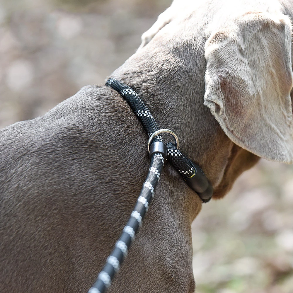Correa reflectante de nailon para perro, Collar ajustable 2 en 1, arnés para mascotas pequeñas y grandes - imagen 5