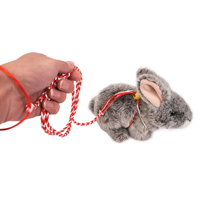 Arnés de correa ajustable para hámster, Collar de plomo para Hurón, ardilla, conejo y hámster, de algodón, 2m - imagen 4