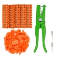 Orange with numbers
