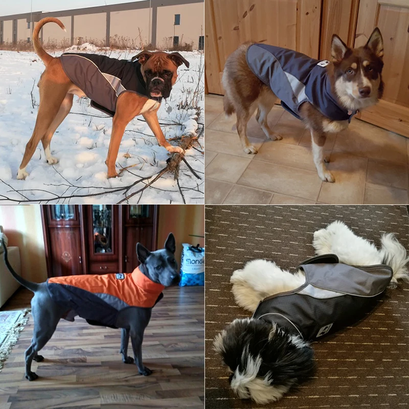 Ropa reflectante para perro, abrigo impermeable para perro, chaqueta para cachorro, chaleco cálido, ropa para perros grandes, XS-XXXL, envío directo - imagen 2
