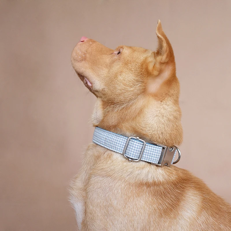 MUTTCO vende al por menor collar de estilo británico collar de perro THE AEGEAN SEA 5 tamaños UDC022