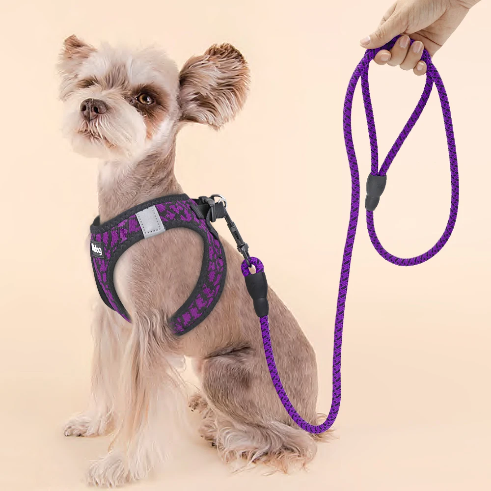 Conjunto de arnés y correa transpirable para perro, chaleco de malla reflectante para cachorros, correas de plomo para Chihuahua, perros pequeños - imagen 4
