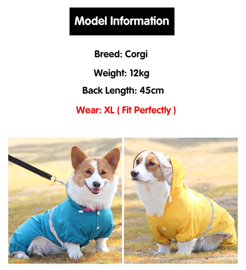Chubasquero para perro Corgi y Dachshund, chaqueta impermeable para perro, Poncho de lluvia ligero y transpirable con capucha, 4 pies, ajustable - imagen 5