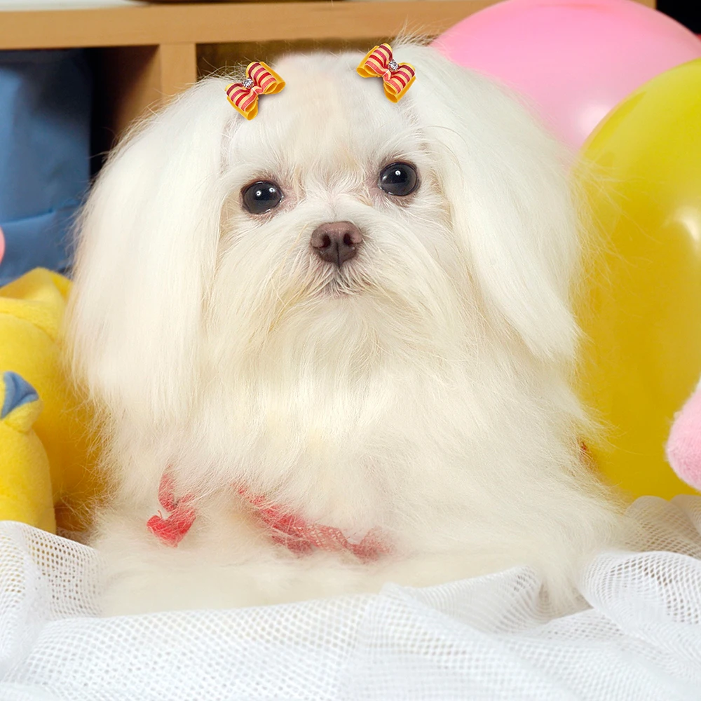 Lazo de diamante para cuidado pelo