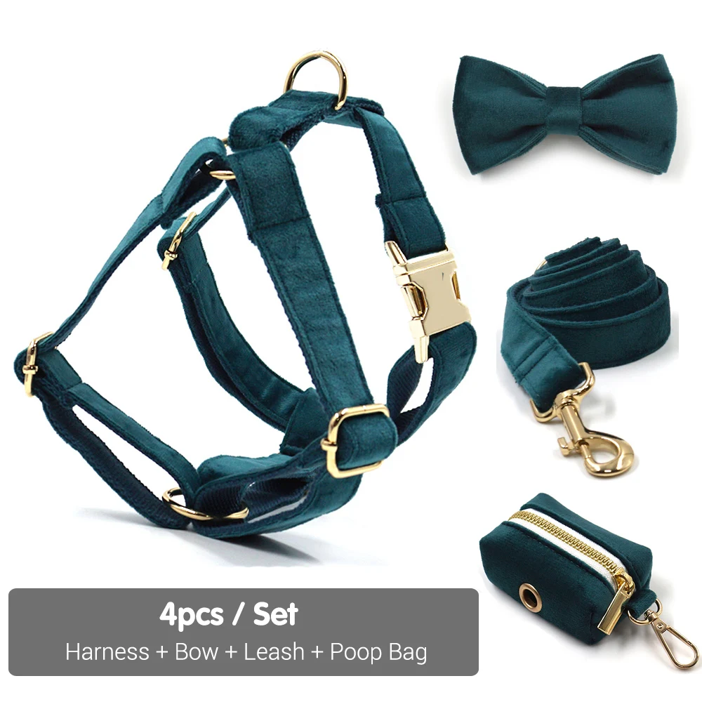 Harness 4pcs Set