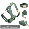 Harness Collar Set