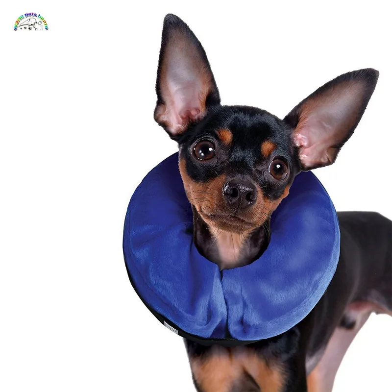 10 Uds. Collar inflable para perro, Collar electrónico isabelino suave, Collar de gato Buster, pantalla de lámpara para mascotas, plato de Radar, protector para perro - imagen 4