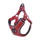 Red Harness