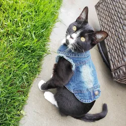 Chaleco vaquero para gato – Abrigo ligero de entretiempo