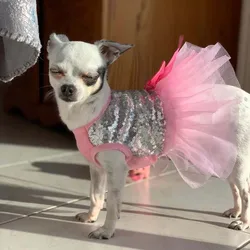 Vestido de fiesta para Chihuahuas y Yorkshire – Tutú Prinzessin