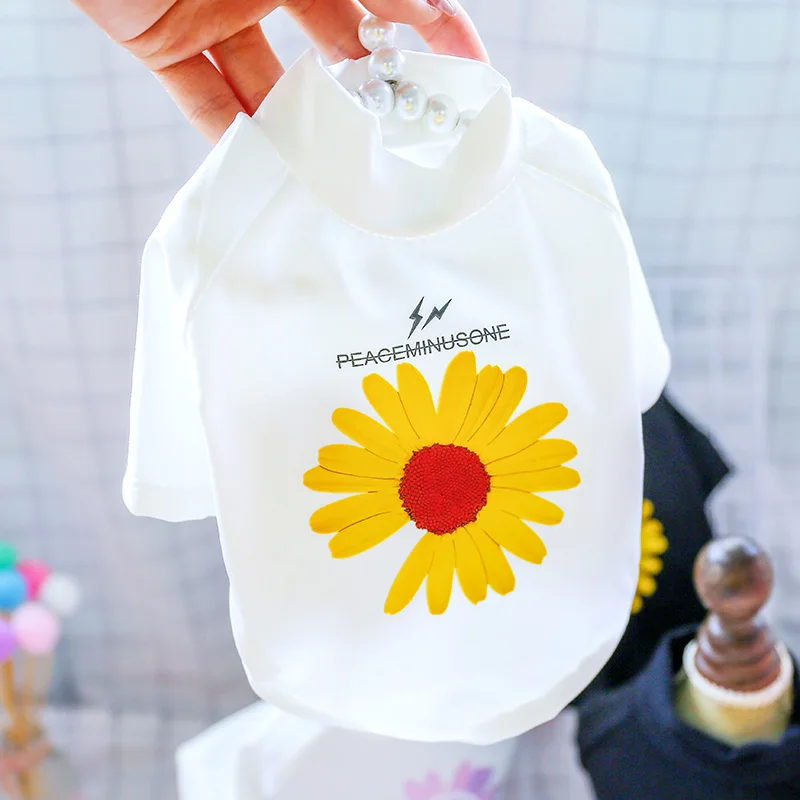 Gato de interior con camiseta estampada posando sobre el sofá