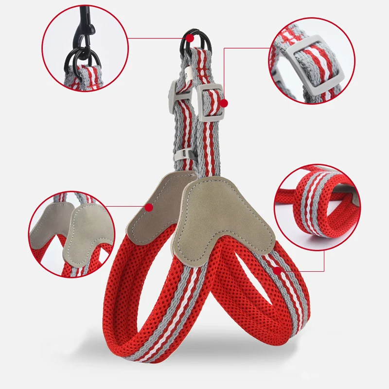 Arneses para gatos y Cachorros para caminar al aire libre, accesorios para Mascotas pequeñas, conjunto de arnés y correa de malla para Mascotas, suministros Sphynx Katten - imagen 4