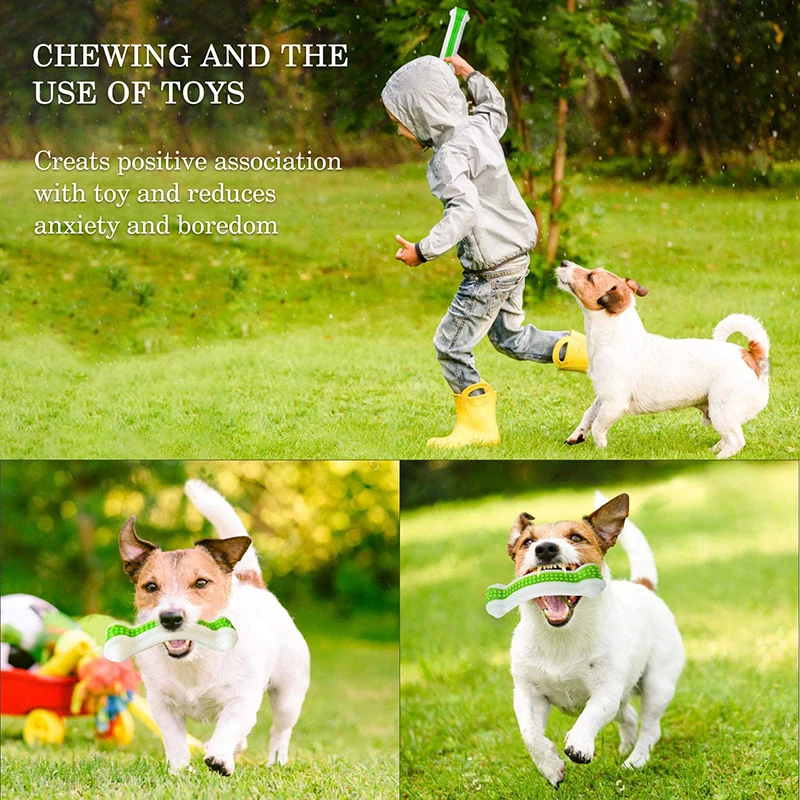 Benepaw-Juguetes de hueso de perro no tóxico, mordedores seguros y resistentes a las mordeduras para perros pequeños y grandes, cuidado Dental, Sabor de piel de vaca, juego para cachorros - imagen 2