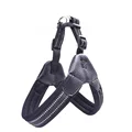 Harness Black
