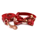 Bow Collar Leash Set
