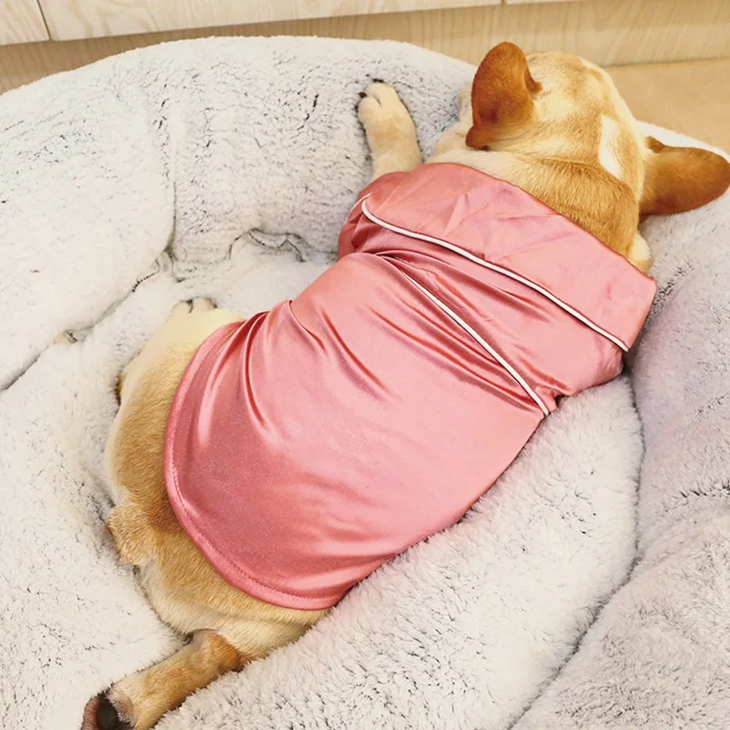 Perro pequeño sentado con pijama de algodón rosa