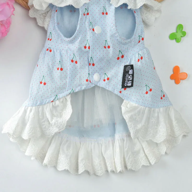 Vestido de gato con cuello de encaje dulce para perros, decoración de cereza, falda tutú azul para perros pequeños, camisas de princesas, ropa para mascotas, vestido veraniego, XXL - imagen 2