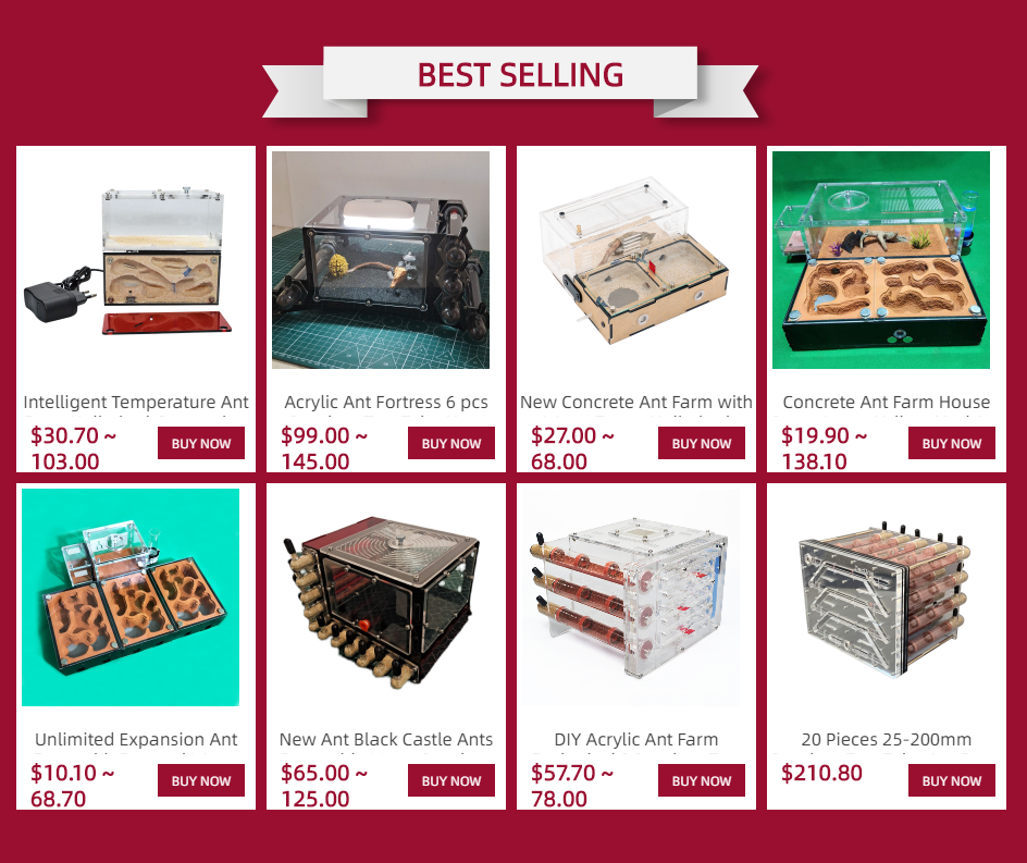 Granja hormigas en uso - Demostración práctica