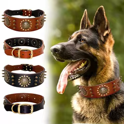 Collar de cuero con tachuelas para Pitbull – Resistente y elegante