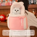 pink pet Carrier