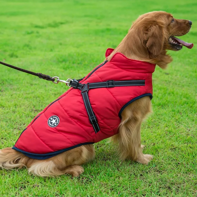 Chaqueta con arnés para perro, ropa cálida de invierno para Labrador, abrigo impermeable para perro grande, trajes para Chihuahua, Bulldog francés - imagen 3