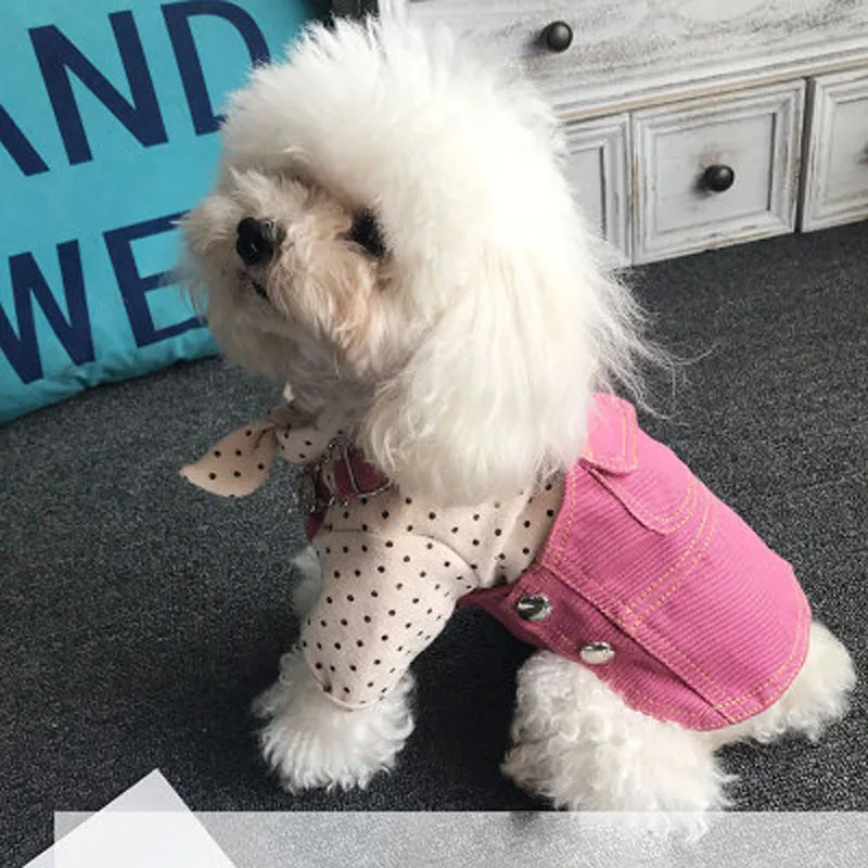 Vestido vaquero con tirantes para perro, falda bonita para mascotas, ropa de peluche, ropa para cachorros, Otoño, 2021 - imagen 2